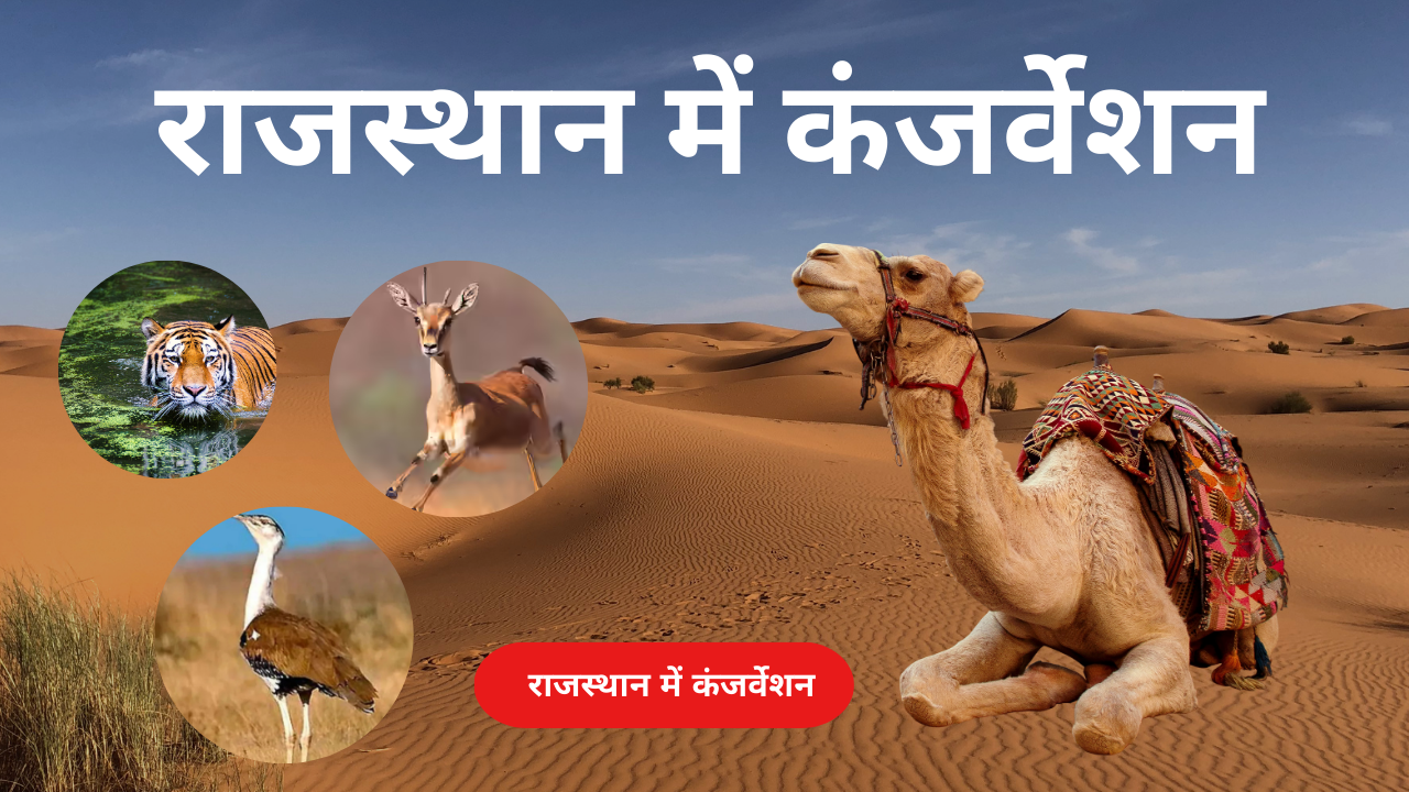 Conservation Reserve in Rajasthan